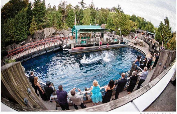 4-aquarium-vancouver.jpg 4-aquarium-vancouver.jpg