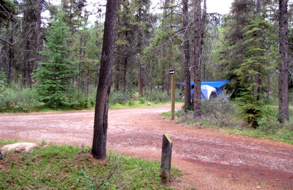 4-camping-wapiti 4-camping-wapiti