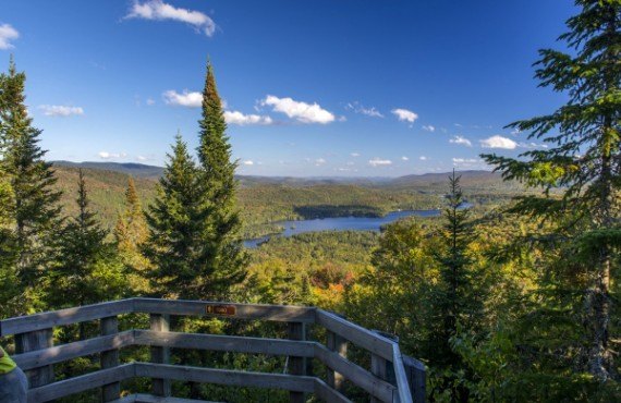 Parc Mont-Trembalnt Parc Mont-Trembalnt