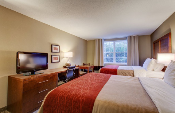 Suite 2 queen Suite 2 queen