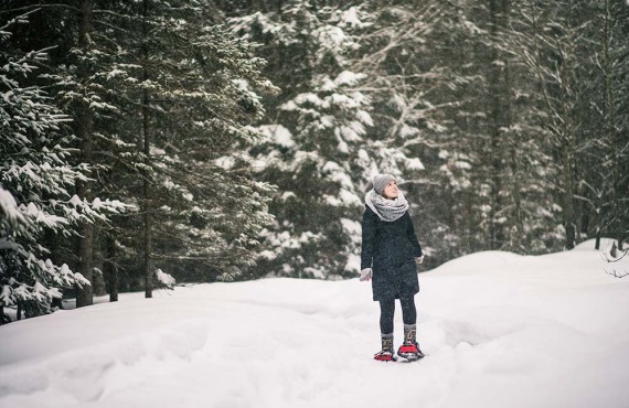 Explorez l'hiver en raquettes Explorez l'hiver en raquettes