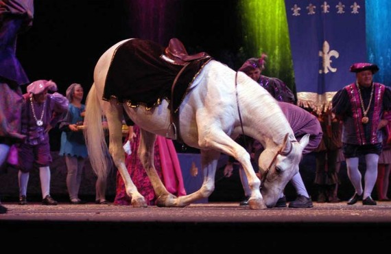 4-fabuleuse-histoire-royaume-cheval.jpg 4-fabuleuse-histoire-royaume-cheval.jpg
