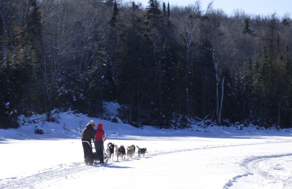 Traîneau à chiens sur le lac Traîneau à chiens sur le lac
