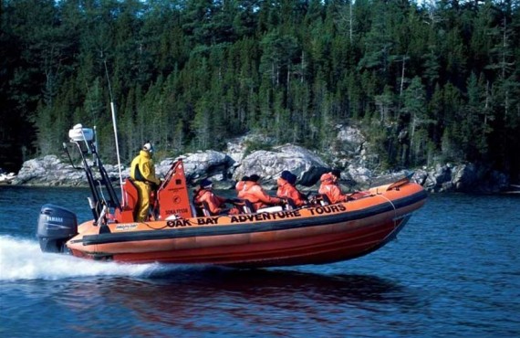 4-observation-baleine-orques-victoria-vancouver-zodiac.jpg 4-observation-baleine-orques-victoria-vancouver-zodiac.jpg
