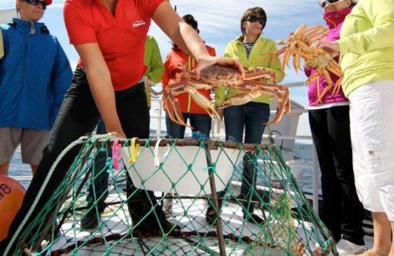 4-peche-miraculeuse.jpg 4-peche-miraculeuse.jpg