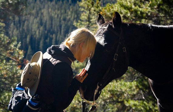Communiquez avec votre cheval Communiquez avec votre cheval