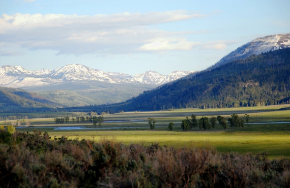 Paysage de Yellowstone