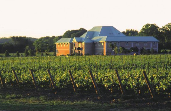 4-vignoble-chateau-charmes 4-vignoble-chateau-charmes