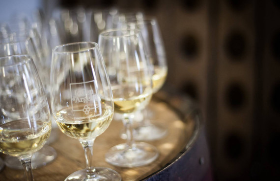 Découvrez les vins du Cep d'Argent Découvrez les vins du Cep d'Argent