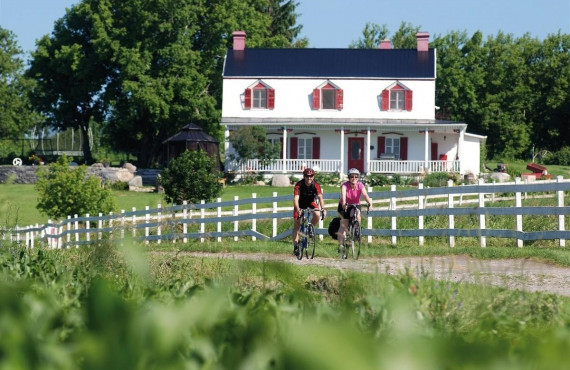 41-velo-ile-orleans.jpg 41-velo-ile-orleans.jpg