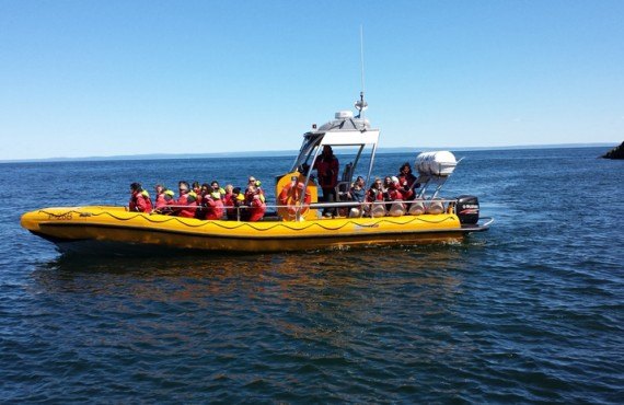 Croisière en Zodiac - Tadoussac Croisière en Zodiac - Tadoussac