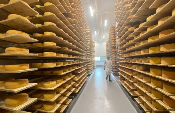 Salle des fromages
