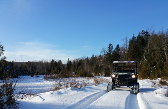 Buggy des neiges Buggy des neiges