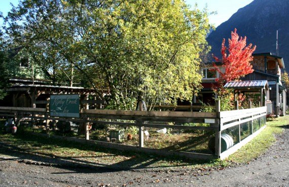 Auberge Ripley Creek - Le poulailler Auberge Ripley Creek - Le poulailler