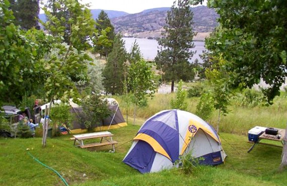 Camping Camp-Along Camping Camp-Along
