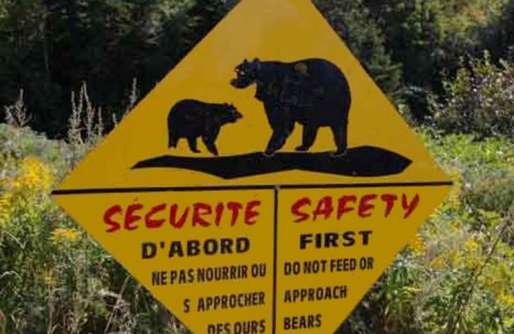 Parc Forillon - Attention aux ours Parc Forillon - Attention aux ours
