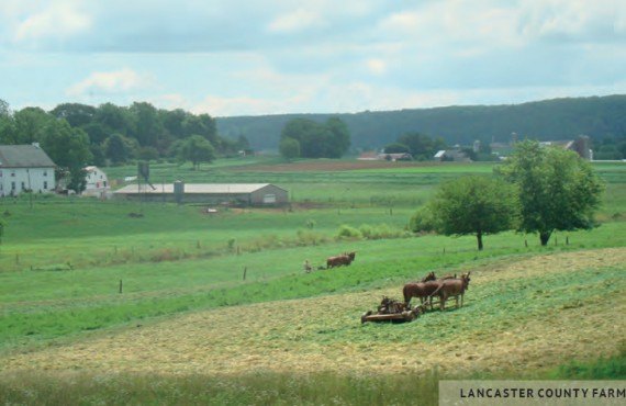 Lancaster Farm