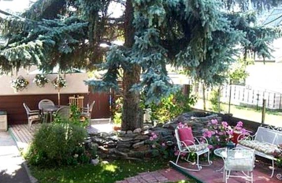 Gîte Grizzly's Den - Terrasse Gîte Grizzly's Den - Terrasse