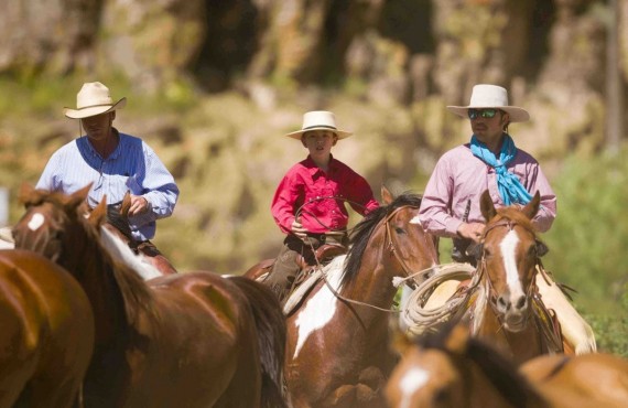 Balade à cheval avec un Cowboy Balade à cheval avec un Cowboy