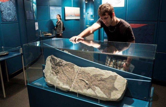 5-parc-fossilifere-miguasha 5-parc-fossilifere-miguasha