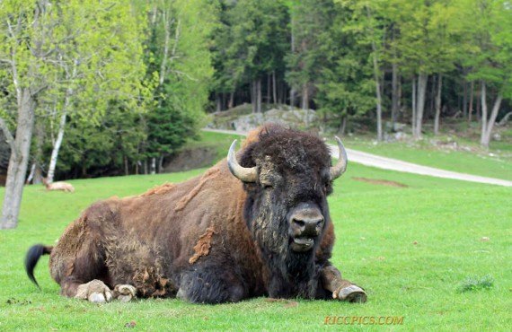 5-parc-omega-outaouais.jpg 5-parc-omega-outaouais.jpg