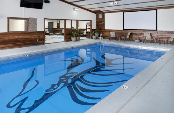 Piscine intérieure Piscine intérieure