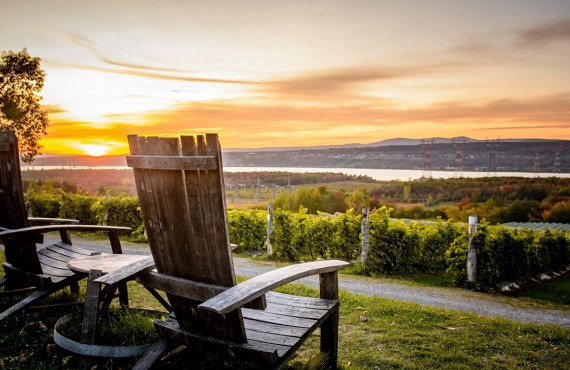 Vignoble Bachus Vignoble Bachus