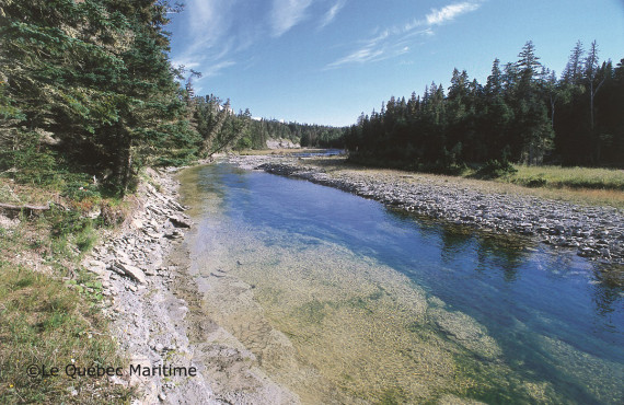 De nombreux cours d'eau sur l'île De nombreux cours d'eau sur l'île