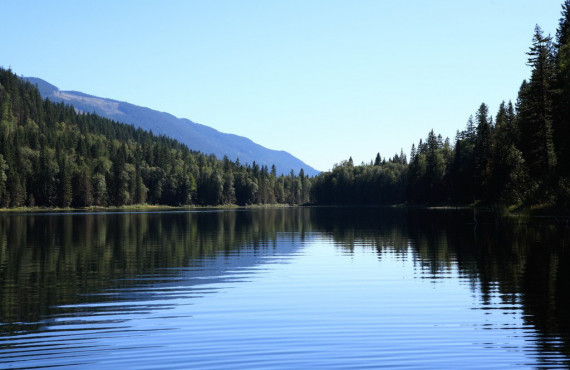 Lake View Lake View