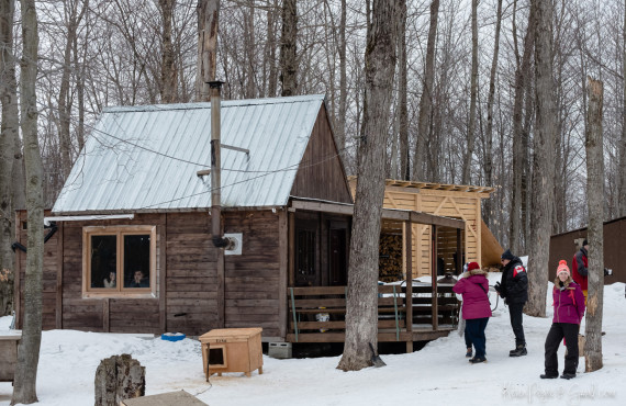 Déjeuner au camp du Musher Déjeuner au camp du Musher