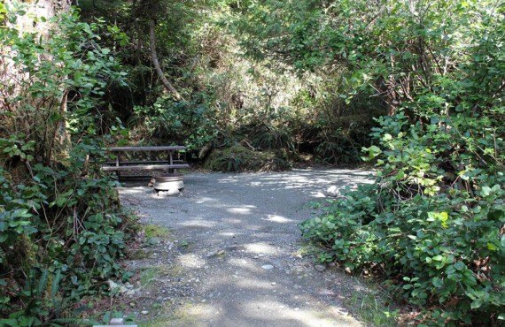 Camping Wya Point - Emplacement boisé Camping Wya Point - Emplacement boisé