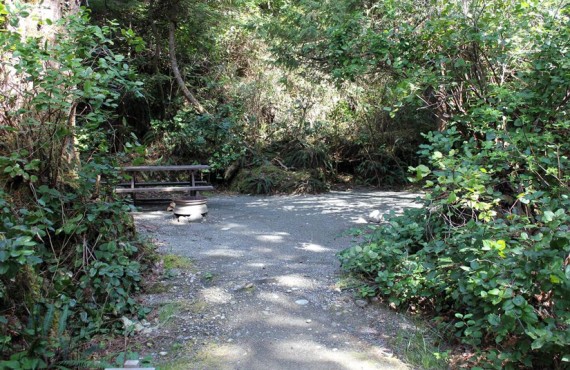 Camping Wya Point - Emplacement boisé Camping Wya Point - Emplacement boisé