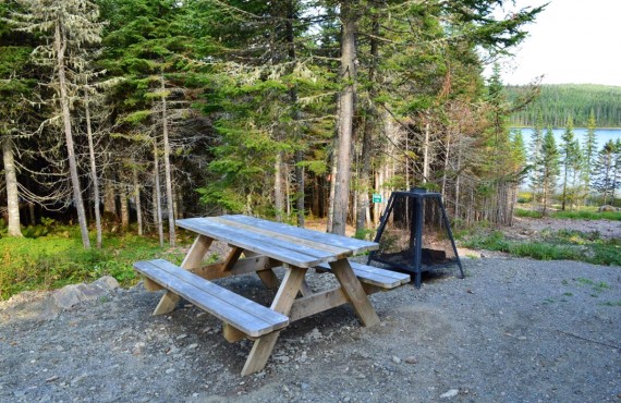 Table à pique-nique Table à pique-nique