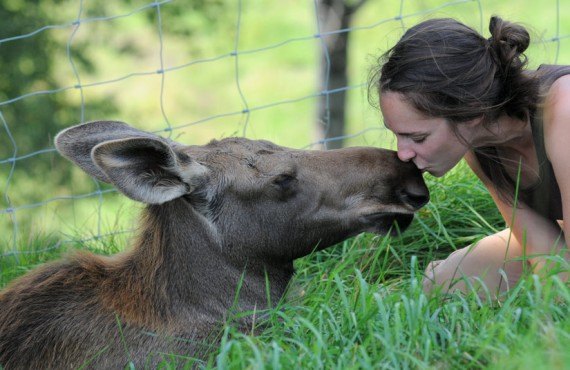 Ferme 5 étoiles - Visite des animaux Ferme 5 étoiles - Visite des animaux