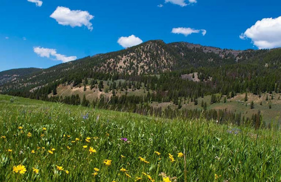 6-guest-ranch-320.jpg 6-guest-ranch-320.jpg
