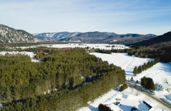 Paysage d'Hiver Paysage d'Hiver
