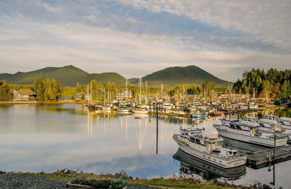 The marina The marina