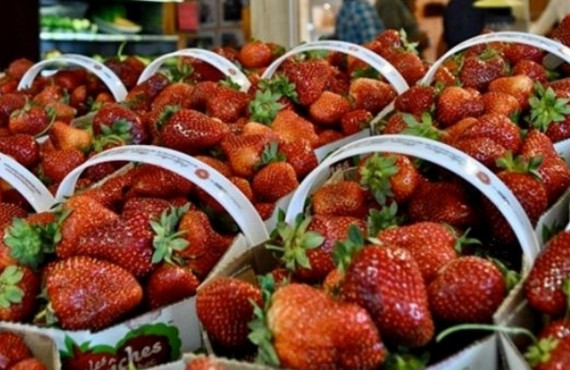 Fraise de l'Île d'Orléans Fraise de l'Île d'Orléans