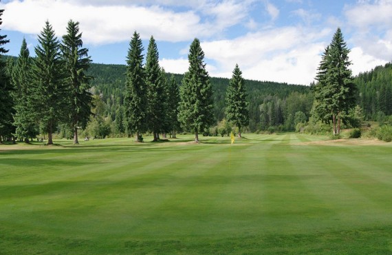 Terrain de golf sur le site Terrain de golf sur le site