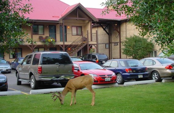 Aspen Village Inn Aspen Village Inn