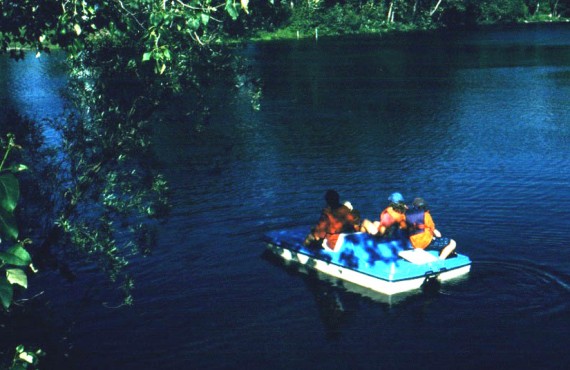 Camping Amqui - Pédalo à proximité Camping Amqui - Pédalo à proximité