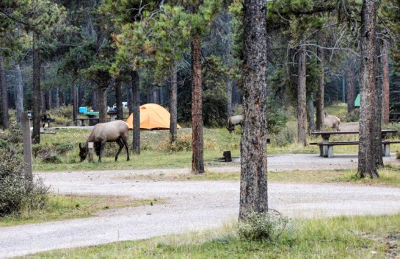 7-camping-du-mont-whistlers 7-camping-du-mont-whistlers