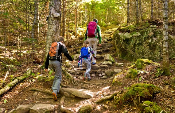 Hiking trails, Hautes-Gorges Hiking trails, Hautes-Gorges