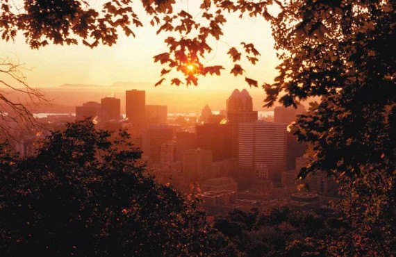 Centre-ville de Montréal vu du Mont Royal Centre-ville de Montréal vu du Mont Royal