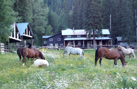 Lodge et Chalet du Ranch Beaverfoot - Golden, BC Lodge et Chalet du Ranch Beaverfoot - Golden, BC
