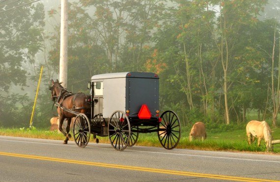 Amish Community (DollarPhotoClub, Christian Kieffer)