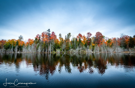 Le lac Amishk en automne Le lac Amishk en automne
