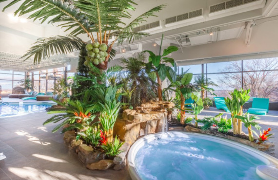 Piscine intérieure et Spa Piscine intérieure et Spa