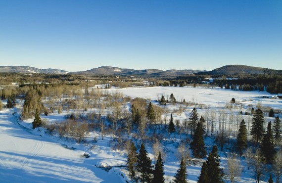 Paysage d'Hiver Paysage d'Hiver
