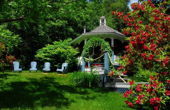 Maison sous les Pins - Jardin Maison sous les Pins - Jardin